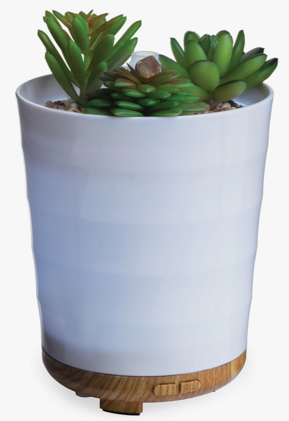 Potted Succulent Ultra Sonic Diffuser